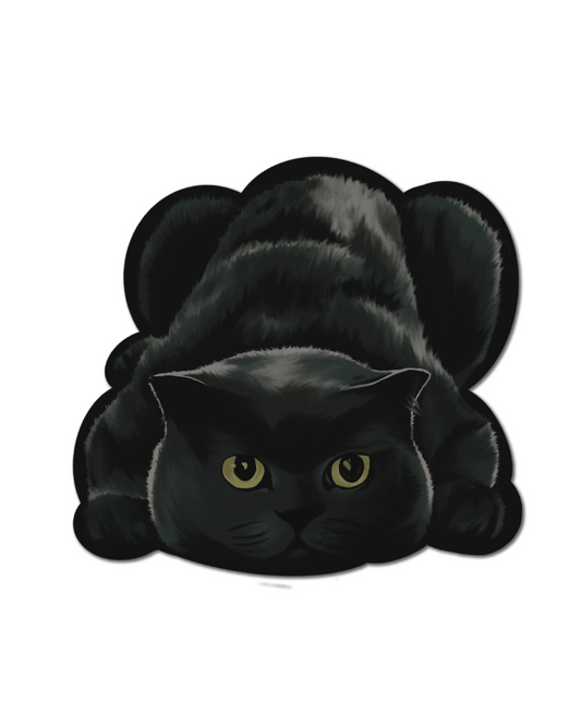 LOKI SIT